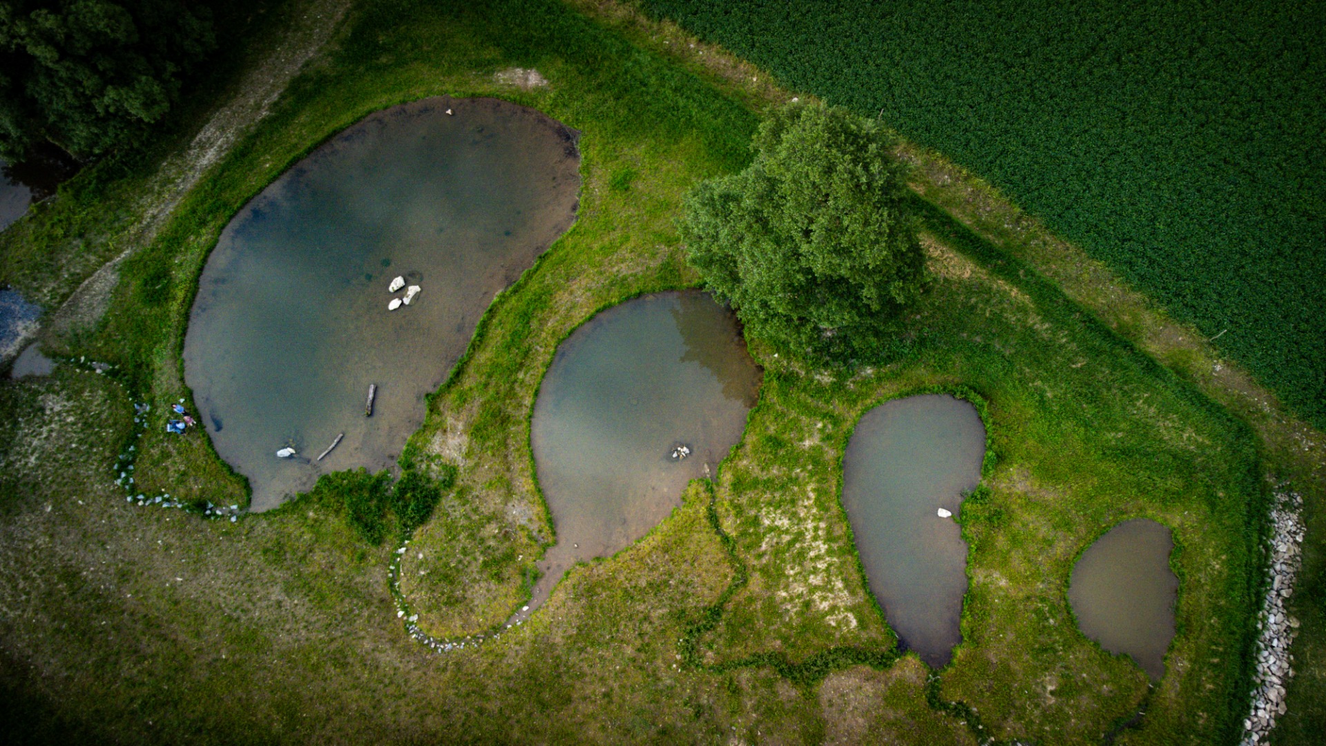 Když se spojí desítky dobrých lidí, vznikne taková krása. Děkujeme, že jste byli u toho. 